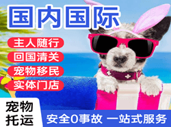 柳州航空运输国际宠物托运 【国